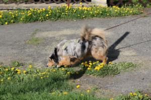 2018 Ausbildungswoche Arber